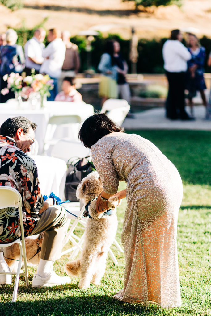 Camarillo wedding photography ; guest petting dog at wedding reception