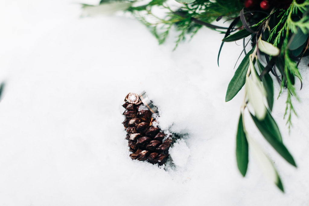 Mt. Baldy wedding photography ; pinecone in the snow
