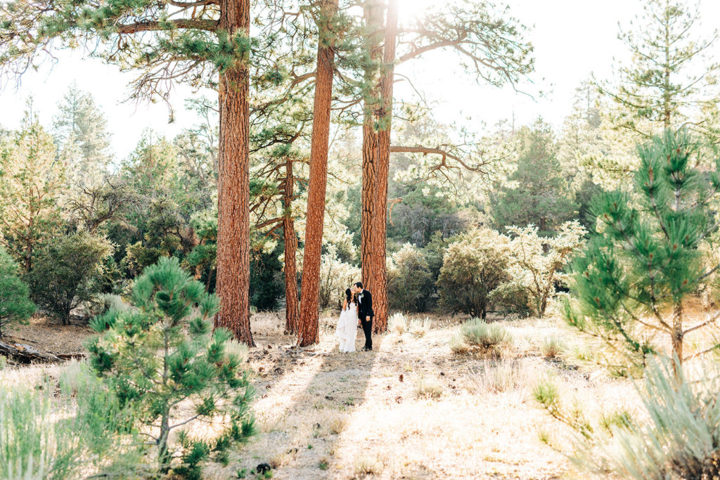 The Gold Mountain Manor In Big Bear, CA wedding photography; bride and groom standing in front of tall trees