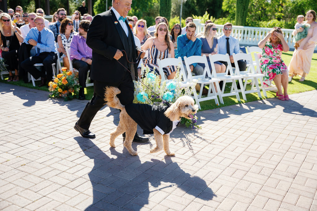 Poodle walks down the aisle in a tux at his owners wedding; gay wedding in temecula at mount palomar winery