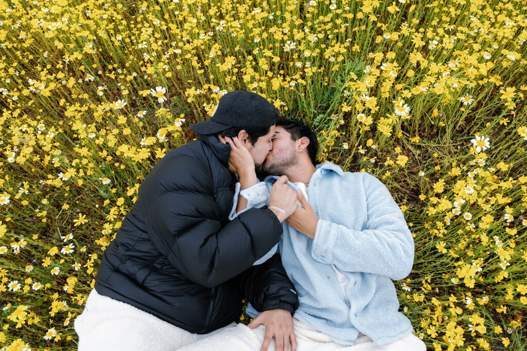 wildflowers superbloom in san diego; a gay couple kisses while laying in a field of wildflowers in san diego