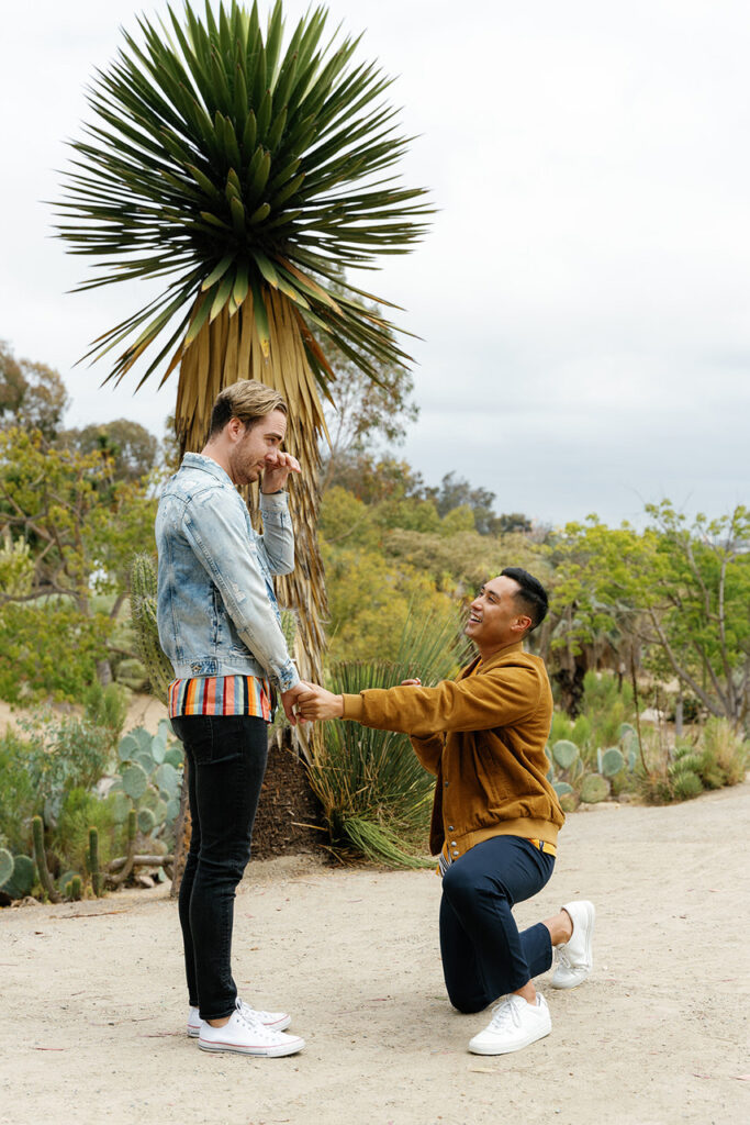 surprise proposal at the desert garden in balboa park; a man down on one knee proposing to his partner at balboa park's cactus garden